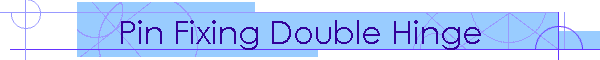 Pin Fixing Double Hinge